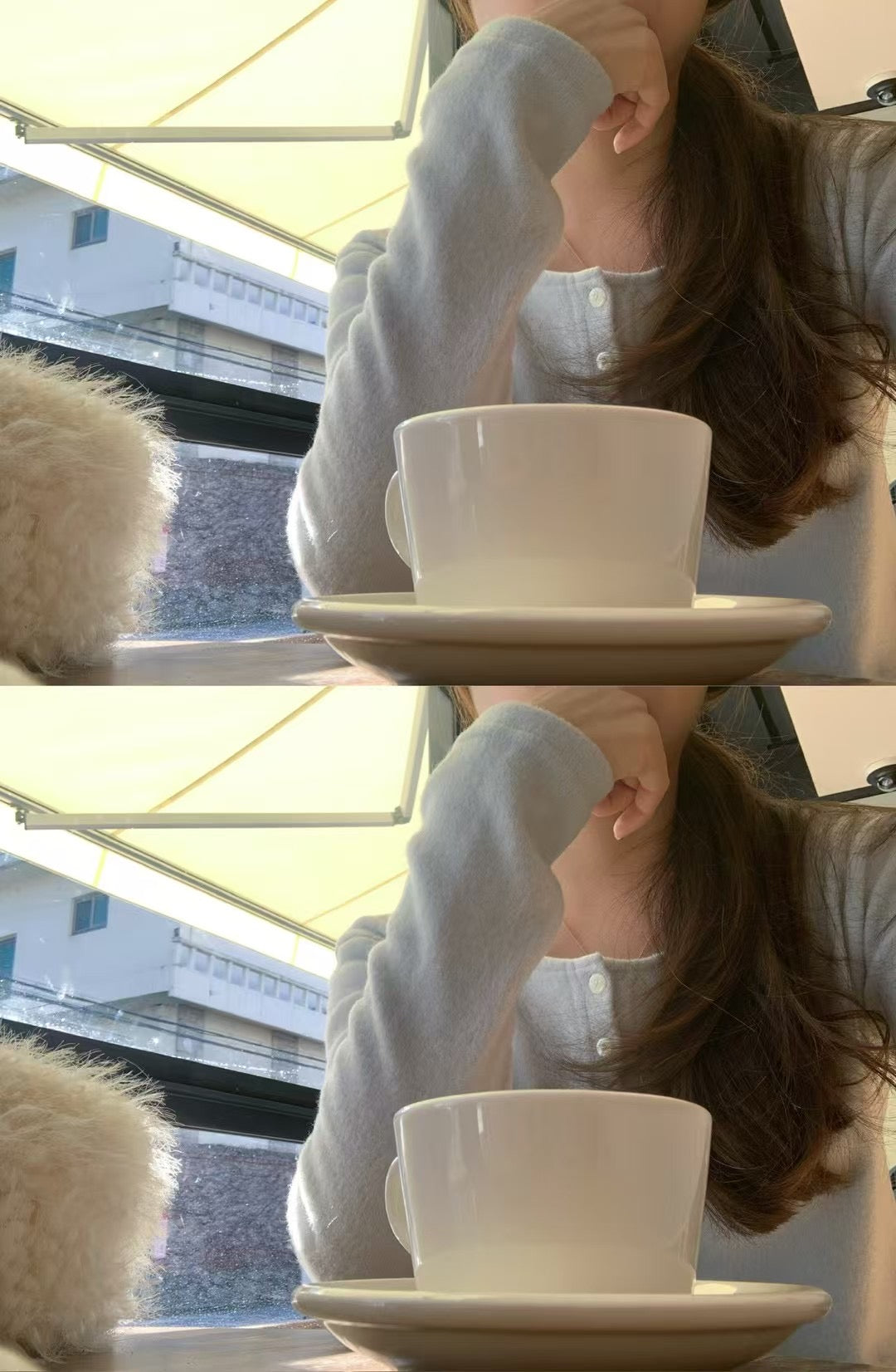 安哥拉羊毛針織開襟衫